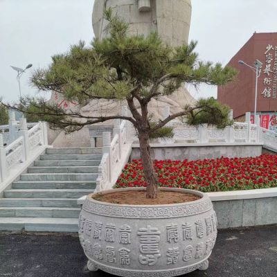 大理石石雕戶(hù)外景觀(guān)花盆雕塑